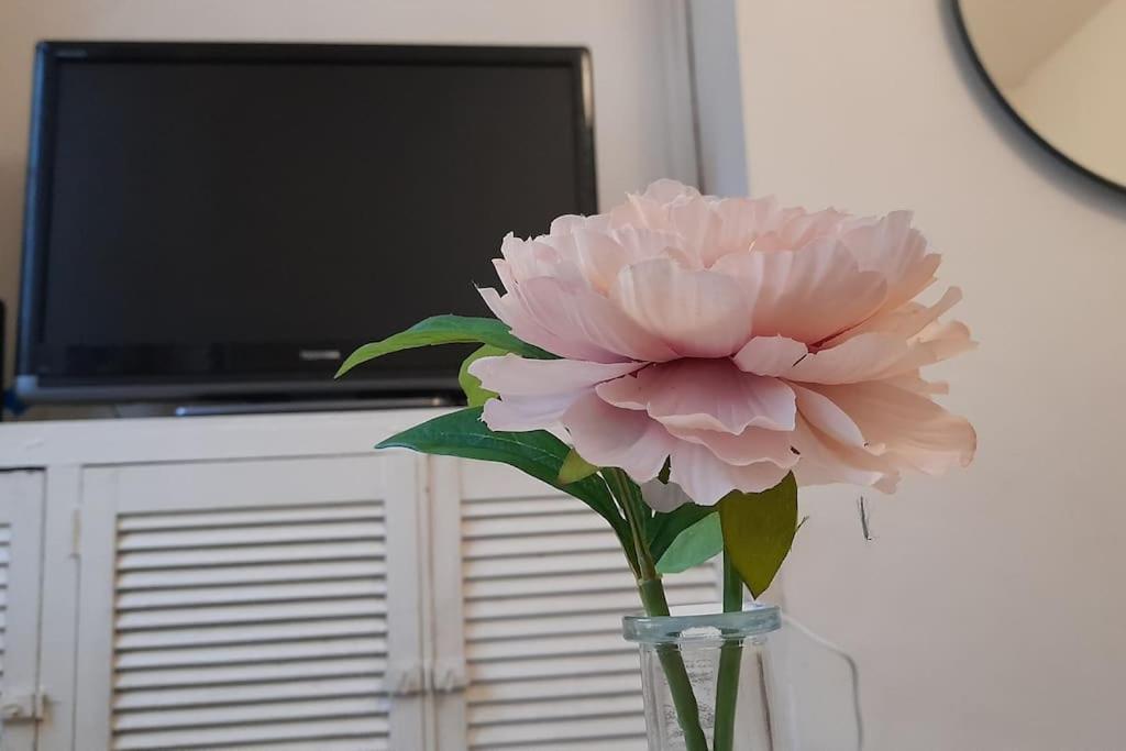 Spacious 4 Bedroom, Free Netflix, Central Location Кардифф Экстерьер фото